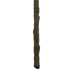Fiori Tall Bird Of Paradise Flower Stem