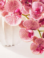 Fiori Tall Pink Orchid Spray Flower Stem