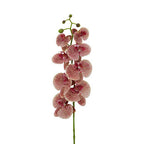 Fiori Tall Pink Orchid Spray Flower Stem