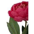 Fiori Fuchsia Peony Flower Stem