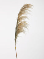 Fiori Blue Tall Pampas Grass Stem