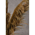 Fiori Blue Tall Pampas Grass Stem