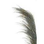 Fiori Blue Tall Pampas Grass Stem