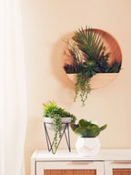 Mixed Succulents in Wood Wall Planter | Fiori