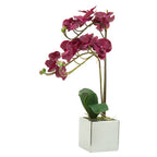 Purple Orchid in Silver Pot | Fiori
