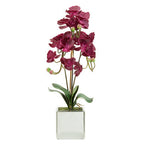 Purple Orchid in Silver Pot | Fiori