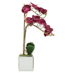 Purple Orchid in Silver Pot | Fiori