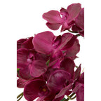 Purple Orchid in Silver Pot | Fiori