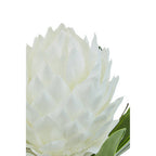 White Tropical Plant in Black Pot | Fiori