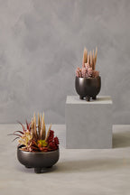 Mixed Succulents in Grey Ceramic Pot | Fiori