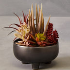 Mixed Succulents in Grey Ceramic Pot | Fiori