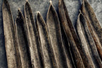 Mokoro Canoe