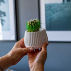 WHITE CONCRETE MUG POT