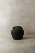 Vintage Lion Ears Dark Pot - De4.1