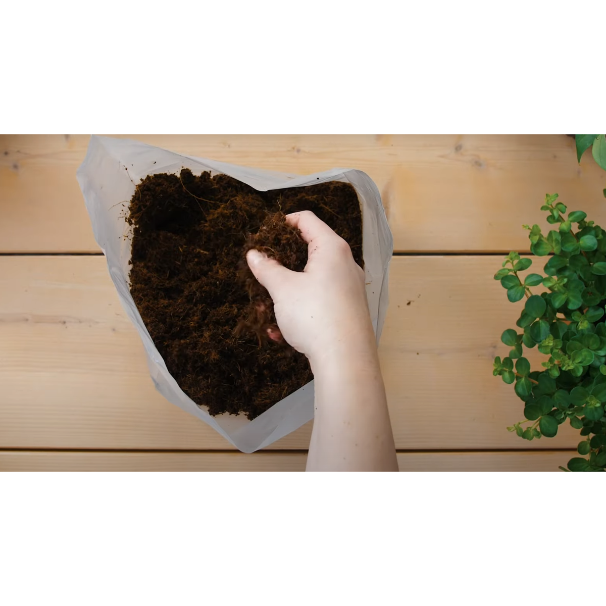 Pokon potting soil Compact - Coconut soil - Home and Garden - 10 liters
