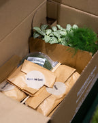 Terrarium Kit ingredients - Large- No glass