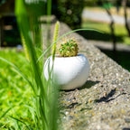 WHITE CONCRETE ROUND POT