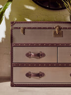 Brown and White Cowhide Cabinet | Kensington Townhouse