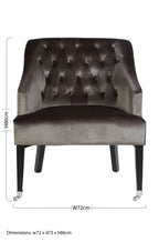 Grey Velvet Chair | Darwin