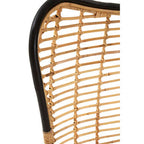 Natural Rattan Wingback Chair | Java
