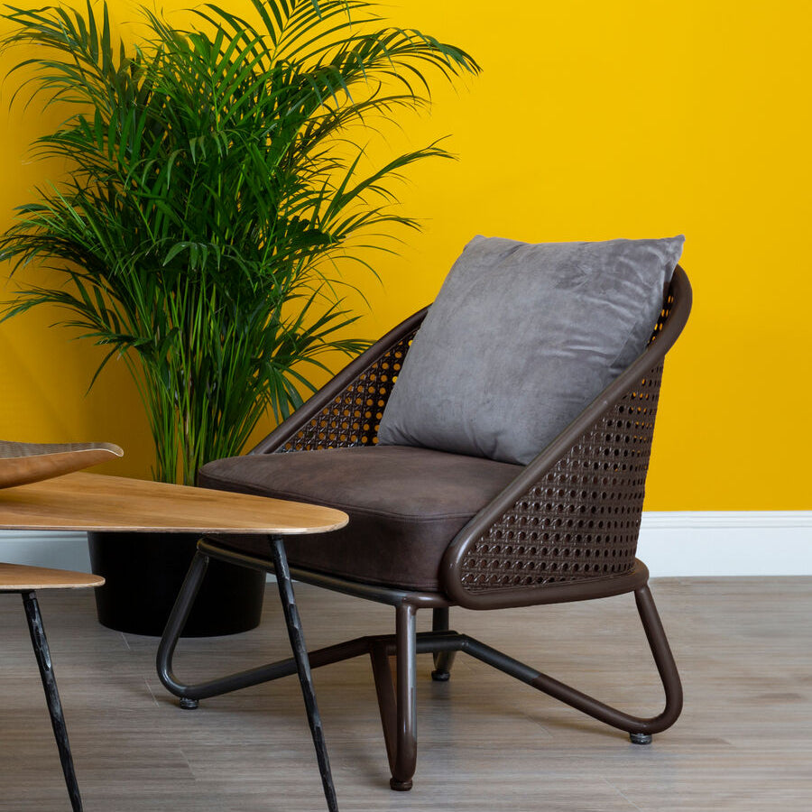 Chair with Curved Legs | New Foundry