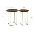 Set of 2 Side Tables with Reflective Silver Iron Legs and Wood Tops | Crest
