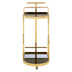 2 Tier Gold and Wavy Design Trolley | Novo