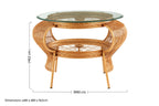 Clear Glass Top Table with Gold Finish Bamboo and Iron Frame | Mantis