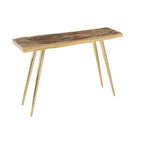 Natural and Rustic Petrified Wood Console Table Slim Brass Finish Iron Legs, Relic