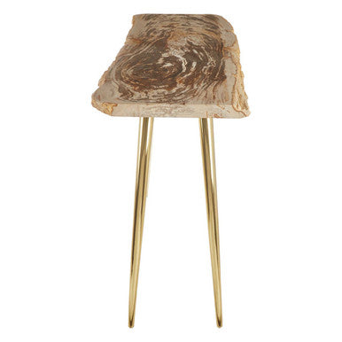 Natural and Rustic Petrified Wood Console Table Slim Brass Finish Iron Legs, Relic