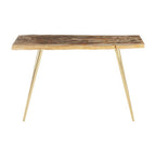 Natural and Rustic Petrified Wood Console Table Slim Brass Finish Iron Legs, Relic
