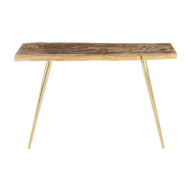Natural and Rustic Petrified Wood Console Table Slim Brass Finish Iron Legs, Relic