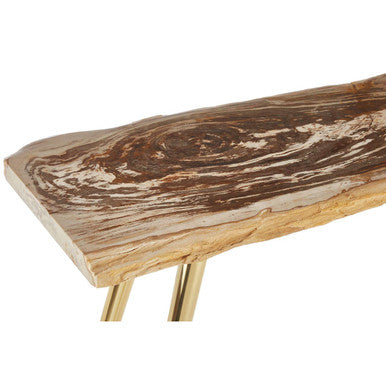 Natural and Rustic Petrified Wood Console Table Slim Brass Finish Iron Legs, Relic