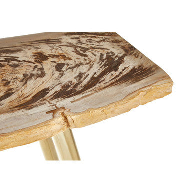 Natural and Rustic Petrified Wood Console Table Slim Brass Finish Iron Legs, Relic