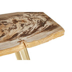 Natural and Rustic Petrified Wood Console Table Slim Brass Finish Iron Legs, Relic