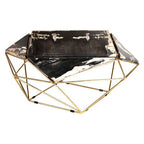 Rustic Dark Petrified Wood Coffee Table with Gold Brass Geometric Frame | Relic