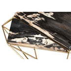 Rustic Dark Petrified Wood Coffee Table with Gold Brass Geometric Frame | Relic