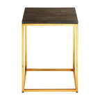 Black Petrified Wood Top Square Side Table with Gold Warm Brass Iron Base | Relic