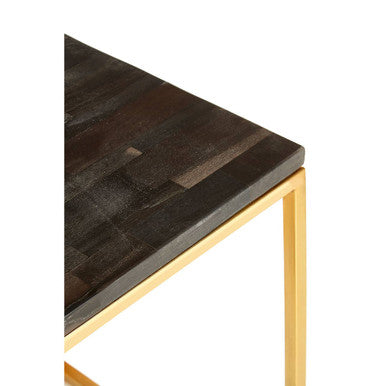 Black Petrified Wood Top Square Side Table with Gold Warm Brass Iron Base | Relic