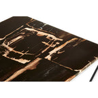 Dark Petrified Wood Top Coffee Table with Prominent Graining and Silver Stainless Steel Frame | Relic