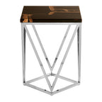 Dark Petrified Wood Side Table with Rustic Grained Top and Silver Stainless Steel Frame | Relic