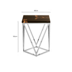 Dark Petrified Wood Side Table with Rustic Grained Top and Silver Stainless Steel Frame | Relic