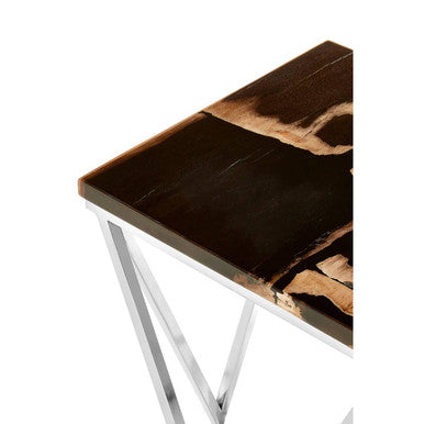 Dark Petrified Wood Side Table with Rustic Grained Top and Silver Stainless Steel Frame | Relic