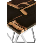 Dark Petrified Wood Side Table with Rustic Grained Top and Silver Stainless Steel Frame | Relic