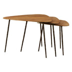 Black and Brown Elm Wood Top Nest of 3 Triangular Tables with Black Iron Legs | Elmo