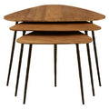 Black and Brown Elm Wood Top Nest of 3 Triangular Tables with Black Iron Legs | Elmo