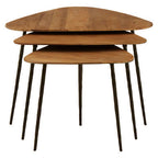 Black and Brown Elm Wood Top Nest of 3 Triangular Tables with Black Iron Legs | Elmo