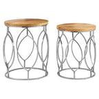 Set of 2 Natural Mango Wood Round Top Side Tables with Reflective Stainless Steel Base | Agra