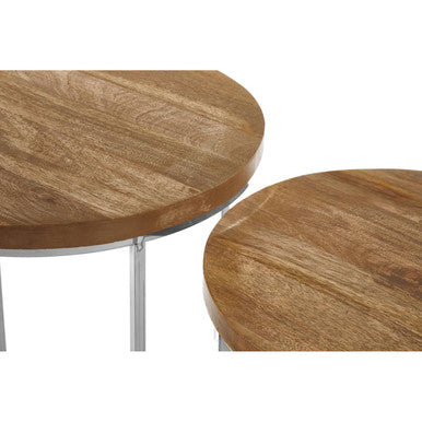 Set of 2 Natural Mango Wood Top Round Side Tables with Stainless Steel Base in Metallic Finish | Agra
