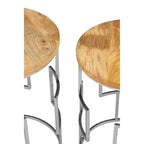 Set of 2 Natural Mango Wood Nesting Tables with Reflective Stainless Steel Base | Agra